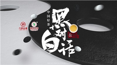 首屆黑白對(duì)話高峰論壇圓滿落幕！湘益茯茶備受關(guān)注！